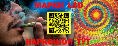 стафф Заводоуковск