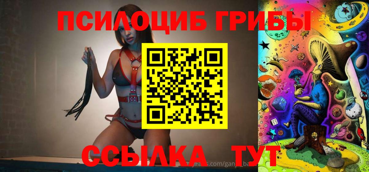 Лосино-Петровский  Галлюциногенные грибы Psilocybe  Вход с VPN 