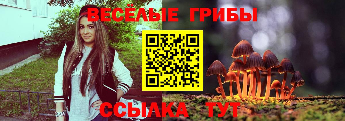 Галлюциногенные грибы GOLDEN TEACHER Лосино-Петровский